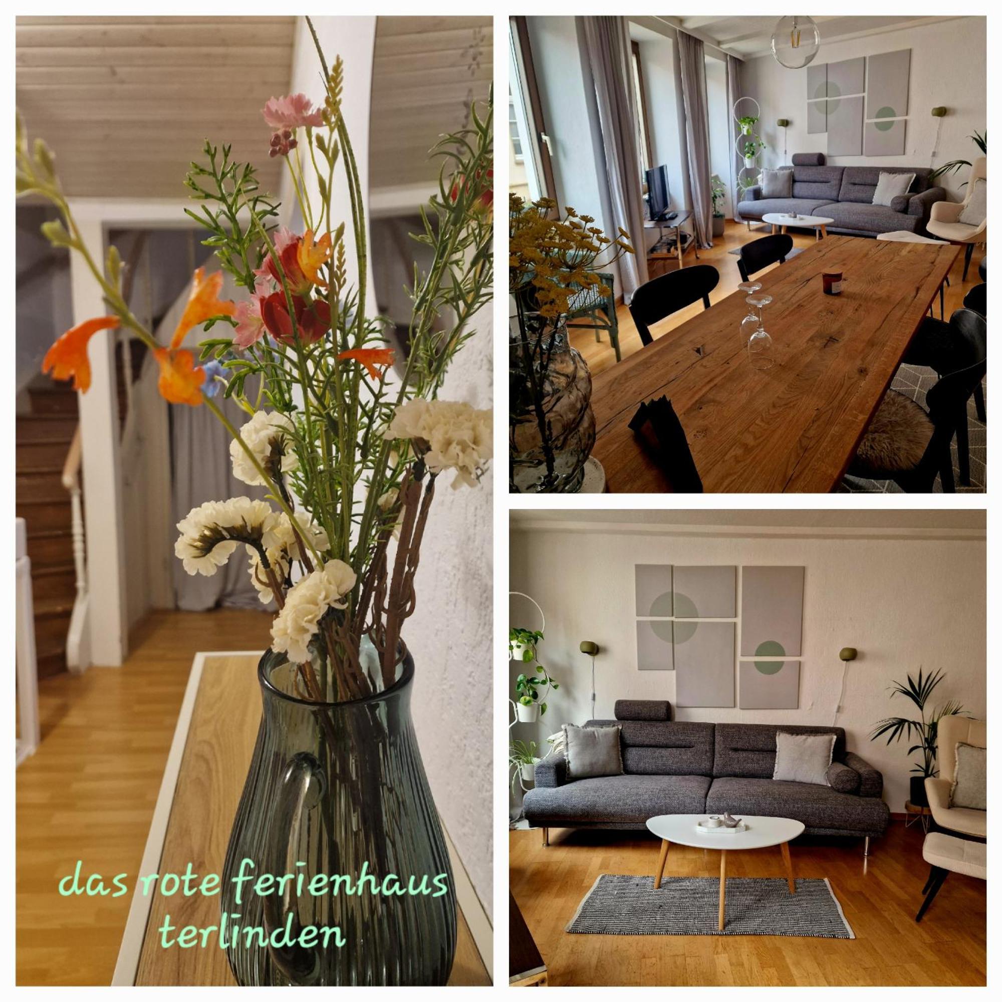 Das Rote Ferienhaus Terlinden Лизер Екстериор снимка